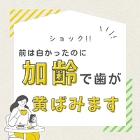 画像1028