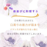 画像1081