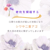 画像1084
