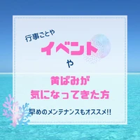 画像1131