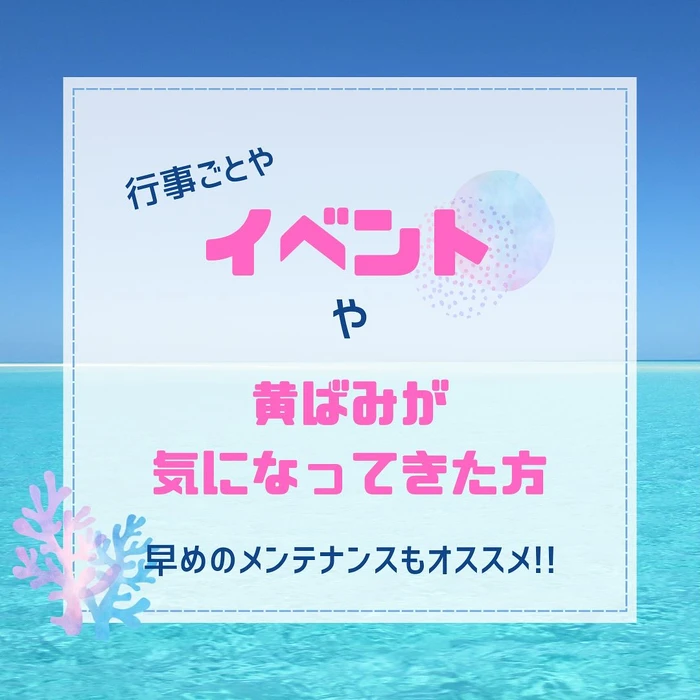 画像1131
