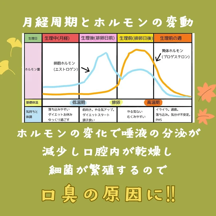 画像1136
