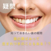 画像1368
