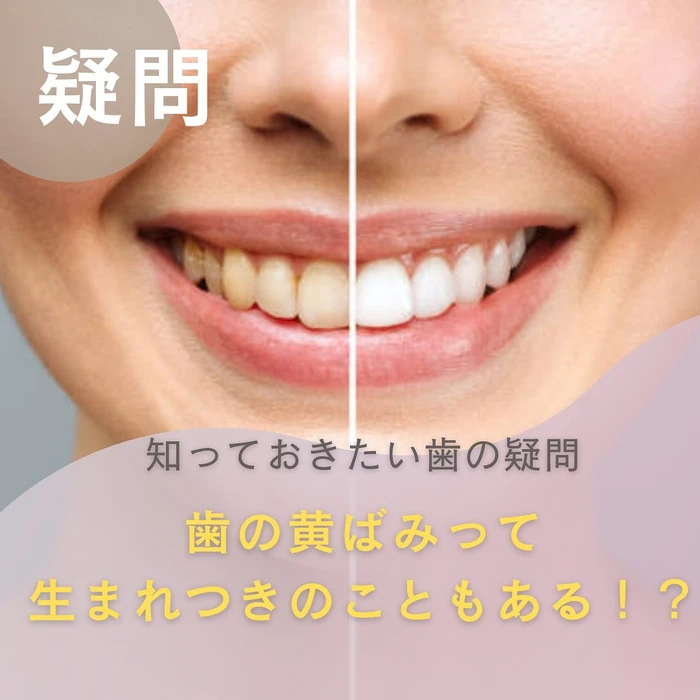 画像1368