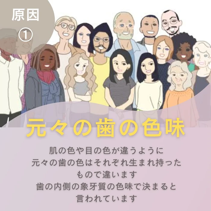 画像1370