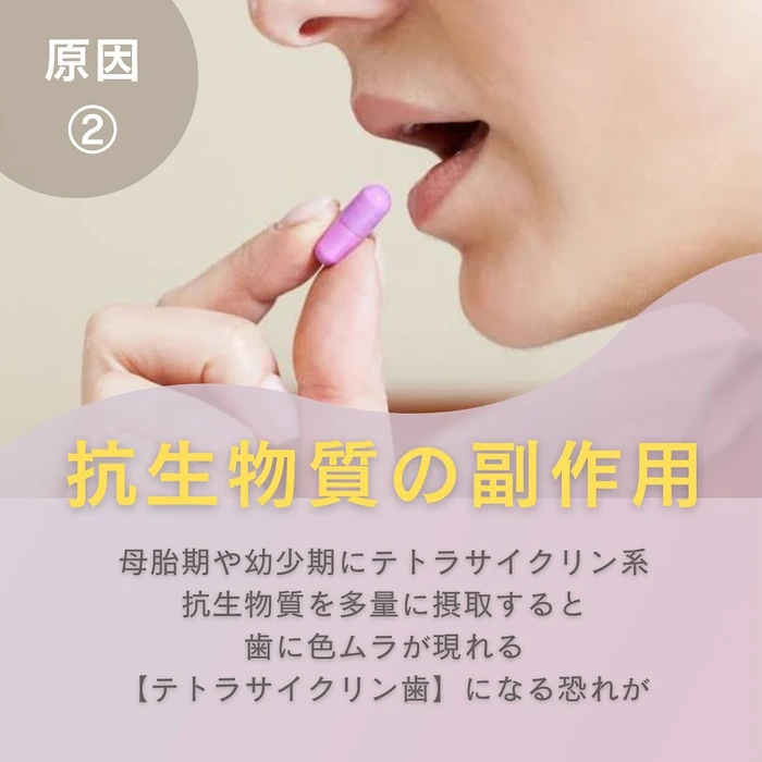 画像1371