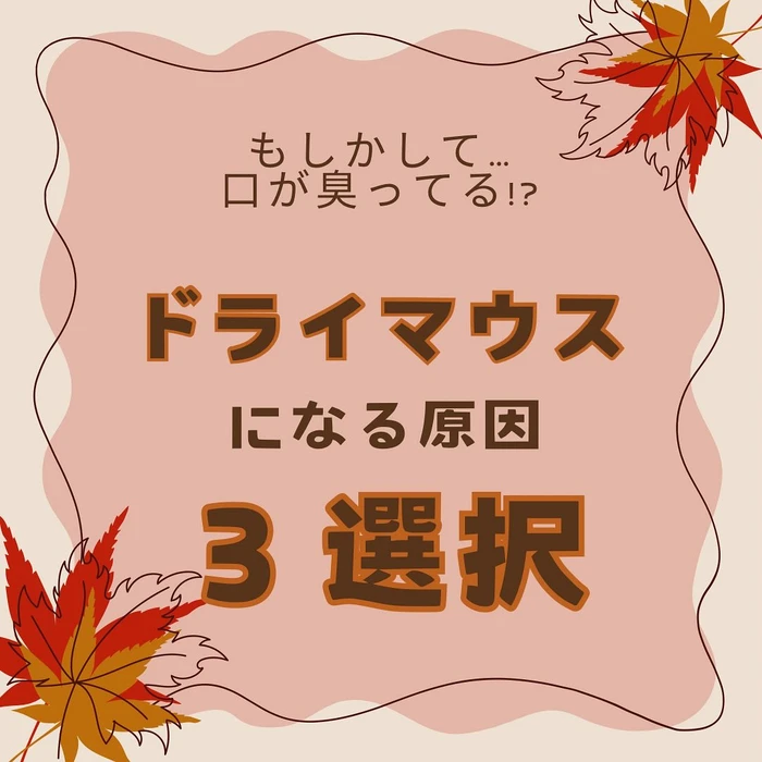 画像1375