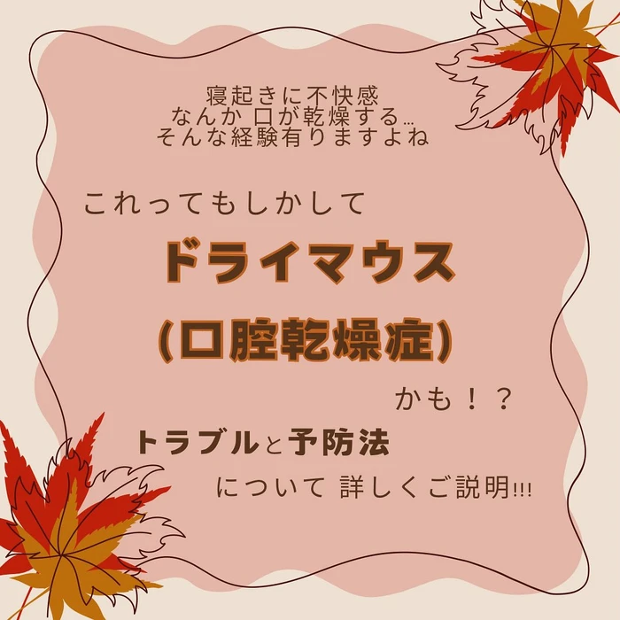 画像1376