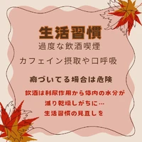 画像1377