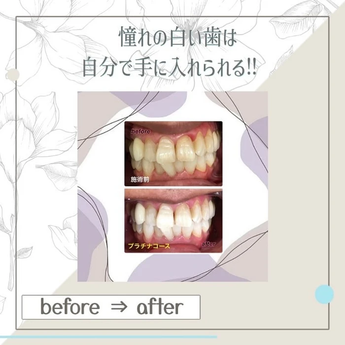 画像283