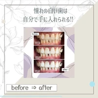 画像438
