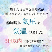 画像497