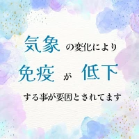 画像498