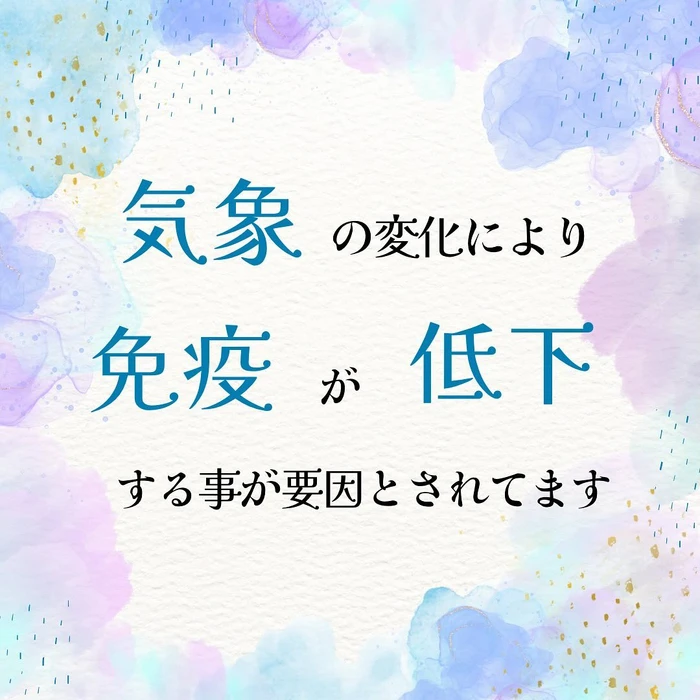 画像498