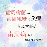 画像499