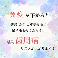 画像500
