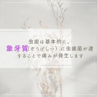 画像509