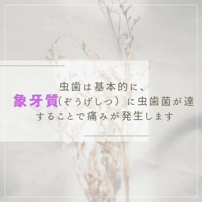 画像509
