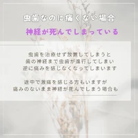 画像511