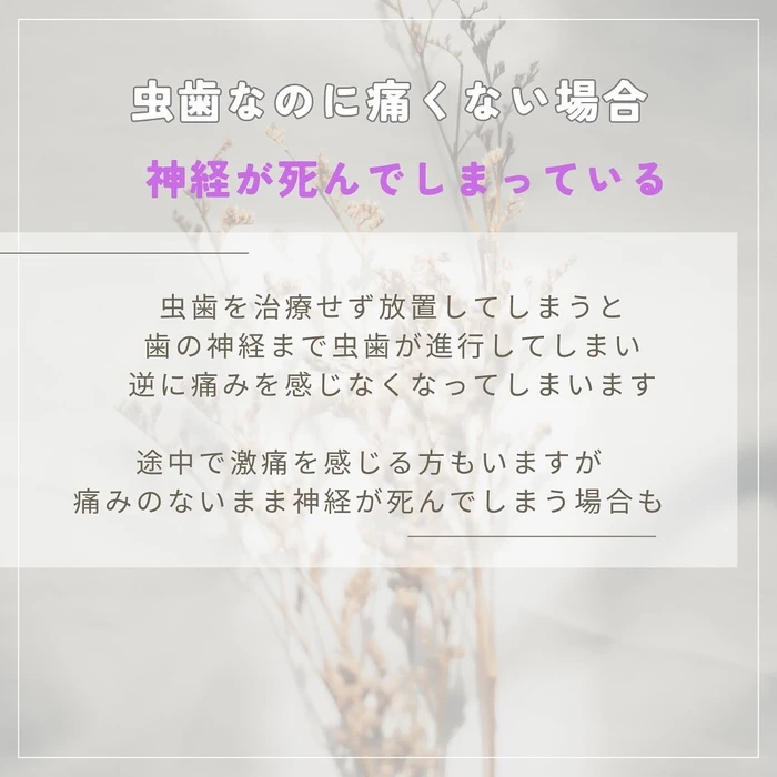 画像511