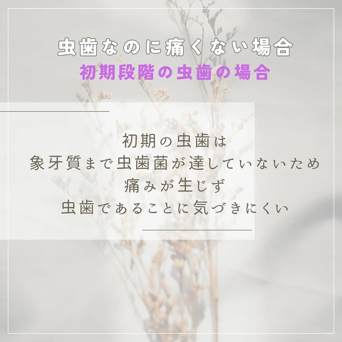 画像512