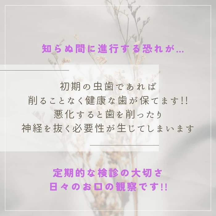 画像513