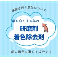 画像531
