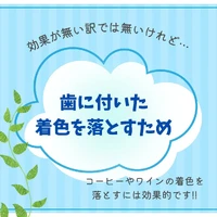 画像532