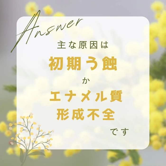 画像653