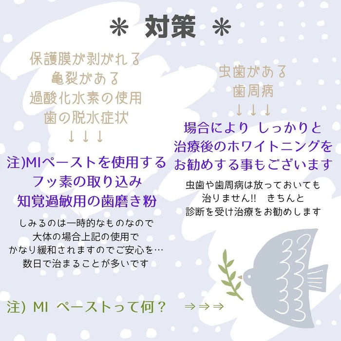 画像733