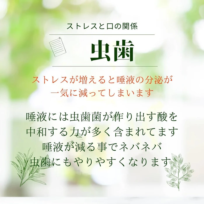 画像784