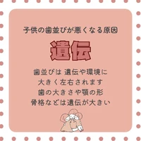 画像819