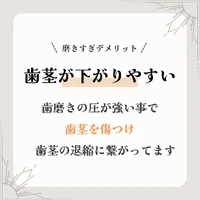 画像828