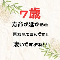 画像980