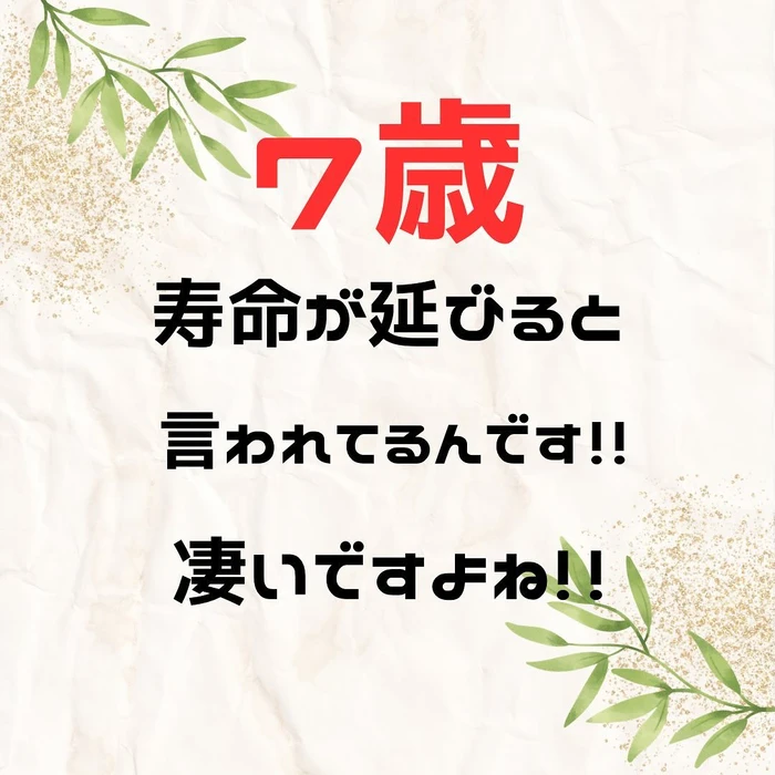 画像980