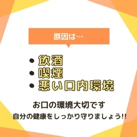 画像995
